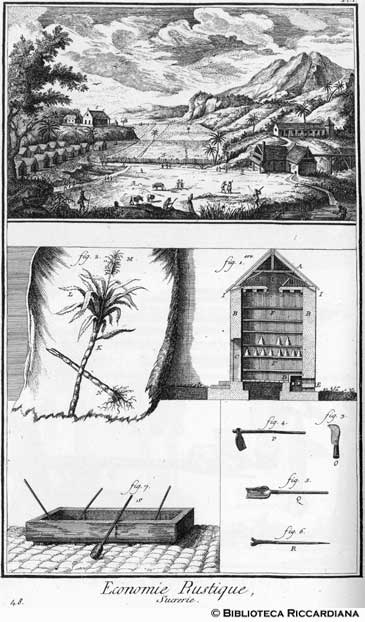 Tav. 48 - Economia rurale: produzione dello zucchero (piantagine) e attrezzi.