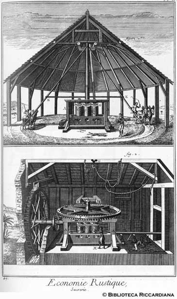 Tav. 49 - Economia rurale: produzione dello zucchero (mulini).