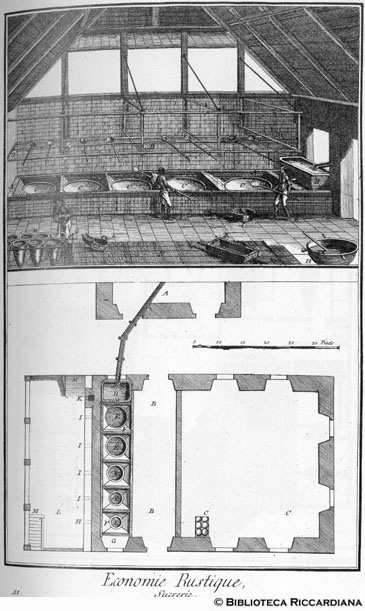 Tav. 51 - Economia rurale: produzione dello zucchero (interno e pianta di uno zuccherificio).