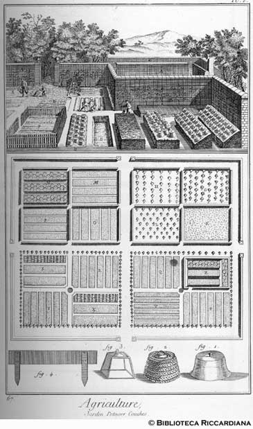 Tav. 67 - Agricoltura: orticoltura.