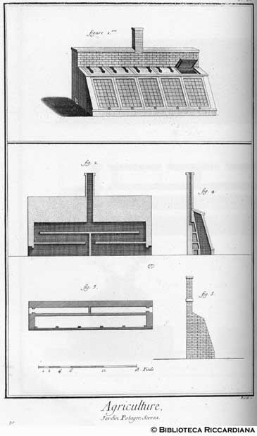 Tav. 70 - Agricoltura: orticoltura (serre)