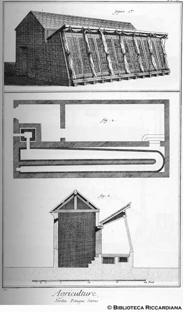 Tav. 71 - Agricoltura: orticoltura (serre)