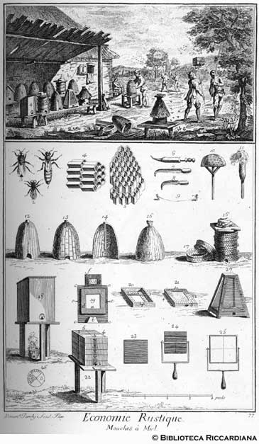 Tav. 77 - Economia rurale: apicoltura (attrezzi).