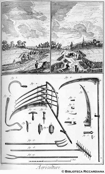 Tav. 9 - Agricoltura: mietitura e fienagione (attrezzi).