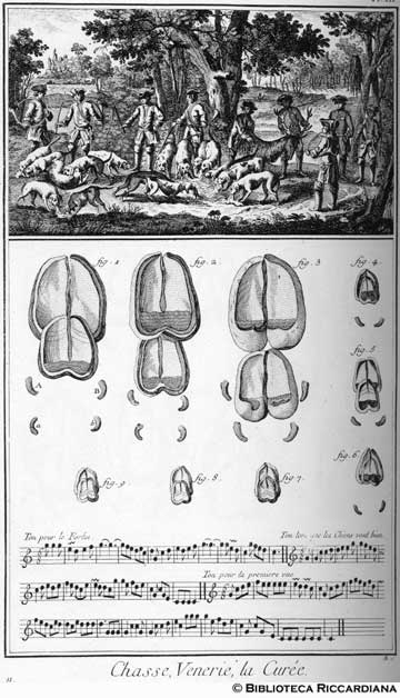 Tav. 11 - Caccia al cervo: la distribuzione della carne ai cani.