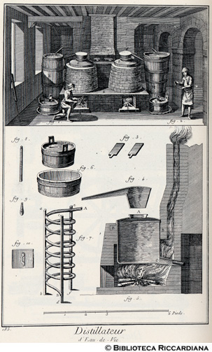 Tav. 185 - Distillatore d'acquavite: laboratorio e macchinari.