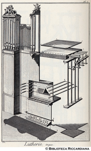 Tav. 180 - Liuteria - Organo.