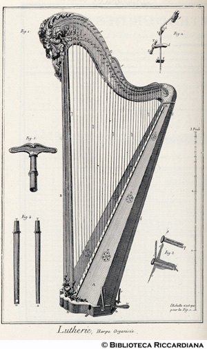 Tav. 212 - Liuteria - Arpa.