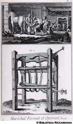 Tav. 58 - Maniscalco: ferratura di un cavallo e attrezzatura per immobilizzarlo.