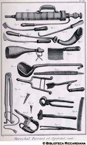 Tav. 62 - Maniscalco: utensili.