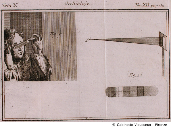 Tav. 12 - Occhialajo.