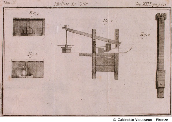 Tav. 13 - Mulino da Olio.