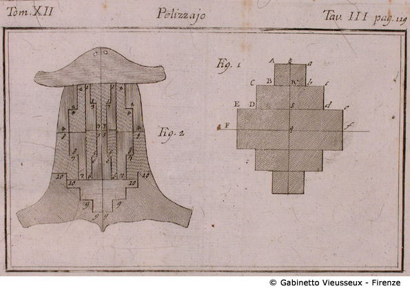 Tav. 3 - Pelizzajo.