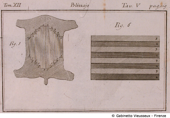 Tav. 5 - Pelizzajo.