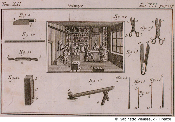 Tav. 7 - Pelizzajo.