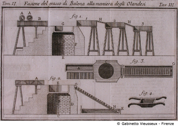 Tav. 3 - Fusione del grasso di Balena alla maniera degli Olandesi.