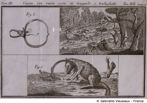 Tav. 12 - Caccia con varie sorta di trappole e trabuchetti.