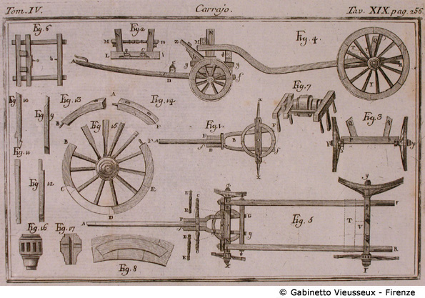 Tav. 19 - Carrajo.