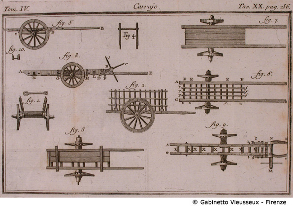 Tav. 20 - Carrajo.