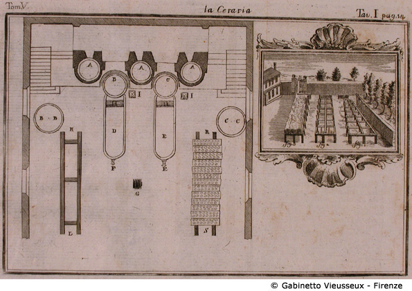 Tav. 1 - La Ceraria.