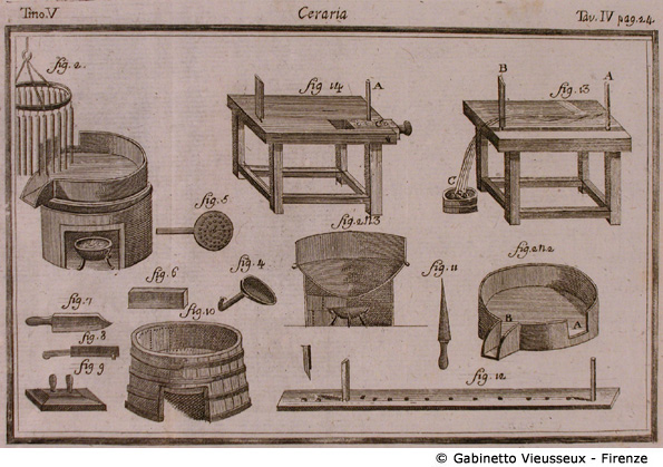 Tav. 4 - Ceraria.