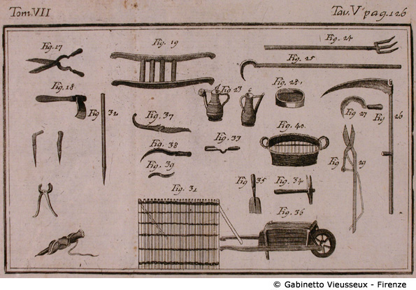 Tav. 5 - (Attrezzi agricoli).