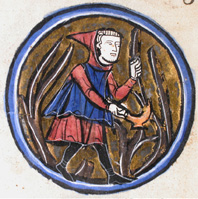 pruning of the plant of the grape