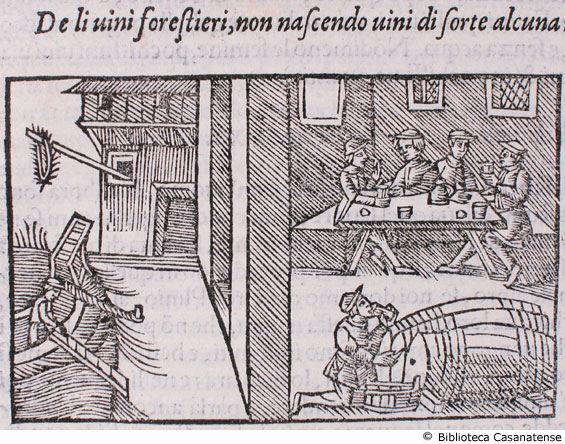 De li vini forestieri, non nascendo vini di forte alcuna nel Settentrione [mescita del vino in una taverna], c. 159