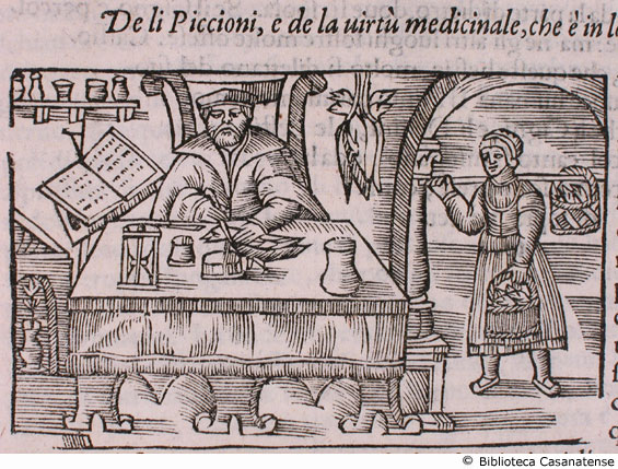 de li piccioni, e de la virt medicinale, che  in loro, c. 235v (seconda figura)