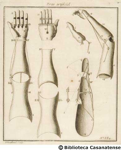 Bras artificiel, tav. 384