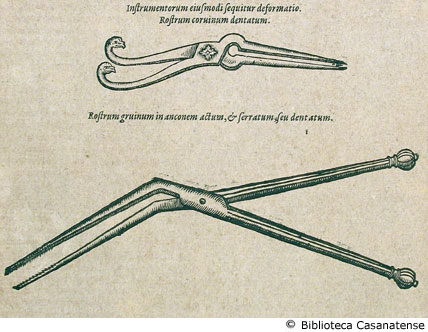 Instrumentorum eiusmodi sequitur deformatio. Rostrum coruinum dentatum (figura in alto); Rostrum gruinum in anconem actum & serratum, seu dentatum (figura in basso); (strumenti chirurgici I), p. 250