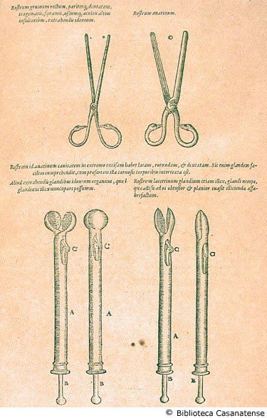 Rostrum gruinum rectum, pariterque dentatum, ... (figura A); Rostrum anatinum (figura B); Aliud extrahendis glandibus idoneum organum, ... (figura C); Rostrum lacertinum glandium etiam illex, glandi nempe, quae ... (figura D); (strumenti chirurgici II), p. 251