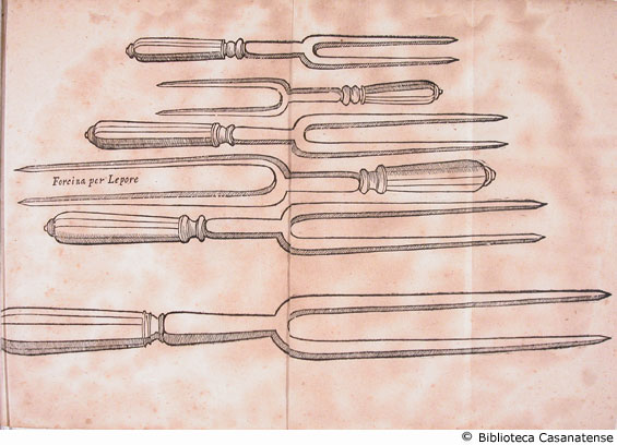 Vari tipi di forchettoni, Tav. 2 ripiegata.
