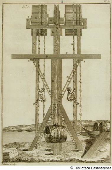 (grues d'une nouvelle forme I), tav. 51