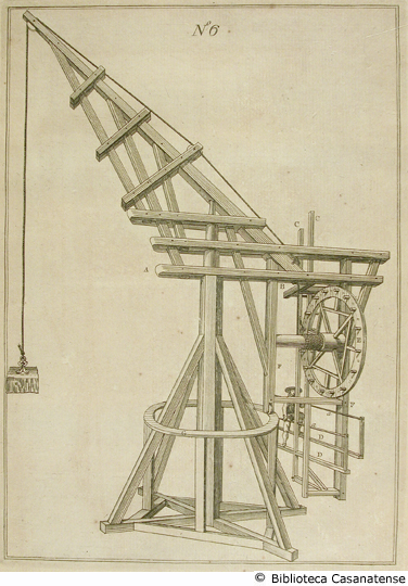 (grue a pédales), tav. 6