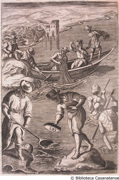 Attività di pescatori, p. 348