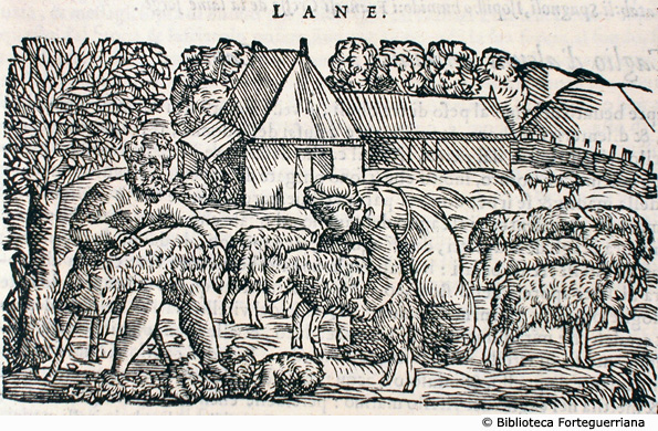 Lane (La tosatura), p. 289