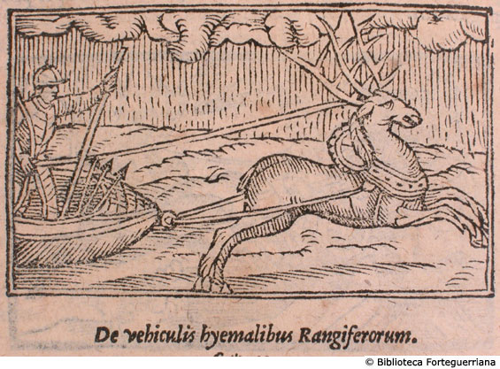 De vehiculis hyemalibus rangiferorum, c. 134v