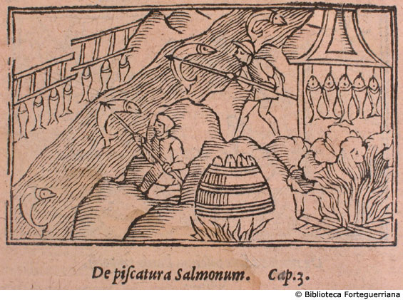 De piscatura salmonum, c. 162v