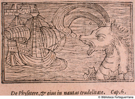 De Physetere et eius in nautas crudelitate, (fig. 1)