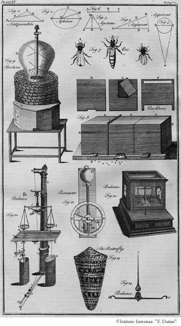 Tavola 15 - Api / Barometro / Bilancia