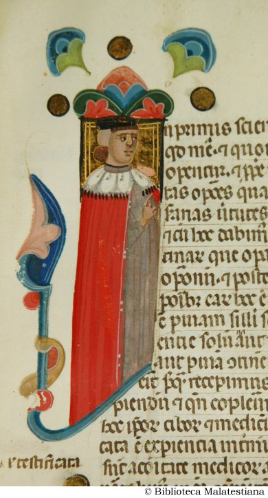 (Un medico), c. 49r