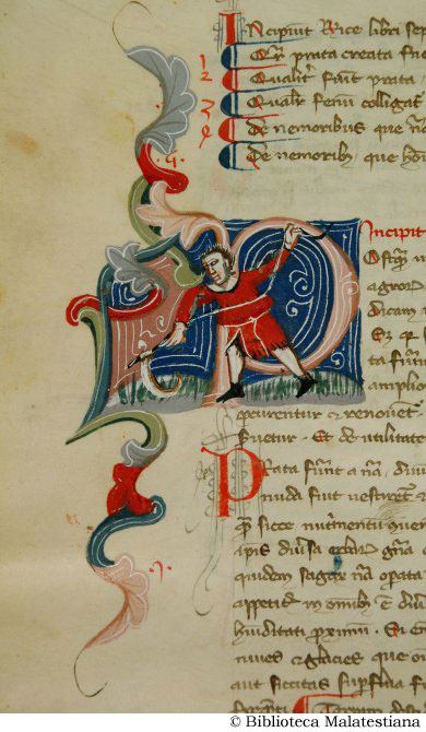 (La falciatura dell'erba), c. 107v