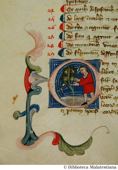 (La coltivazione delle piante), c. 10v