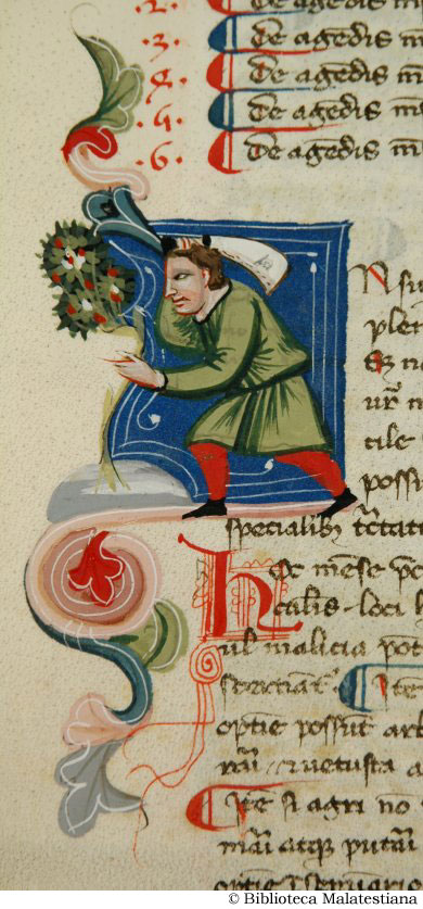 (Un contadino taglia un arbusto), c. 161r