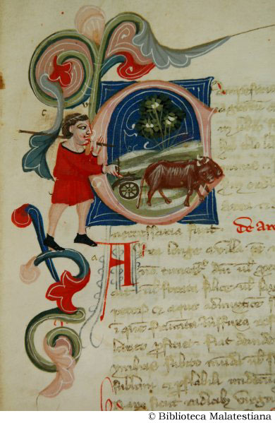 (L'aratura di un campo), c. 33r