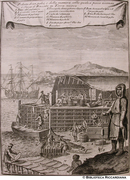 Fig. 17 - Pesca e secca del baccalà in Terra nuova, p. 155