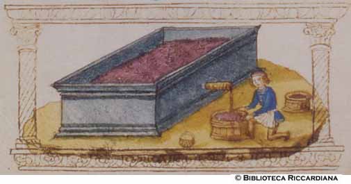 Raccolta del vino da un canale pieno d’uva pigiata, c. 94r