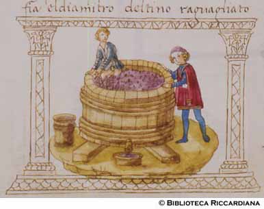 Raccolta del vino da un tino pieno d’uva pigiata, c. 94v