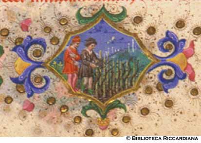 Marzo: l’affrancatura delle viti, c. IIr